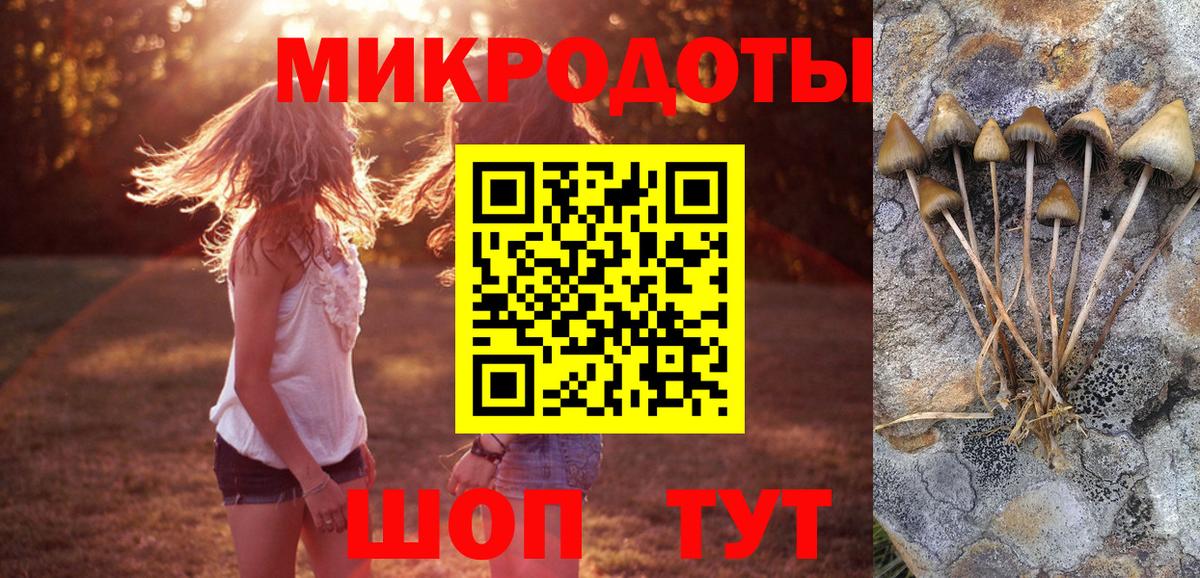 Псилоцибиновые грибы GOLDEN TEACHER  как найти   Лесной  Вход с VPN 
